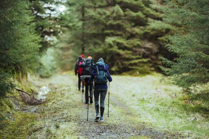 Panduan lengkap untuk memulai hiking bagi pemula