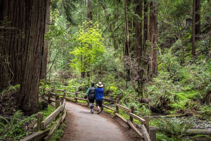 Cara menemukan jalur hiking terbaik di daerah Anda